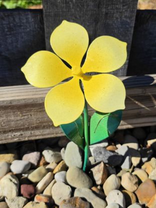 Picture of Micro-25 Flower - Lemon Tart