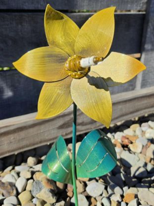 Picture of 22-Short PM Poinsettia - Fort Knox- Gold Spark Plug Center
